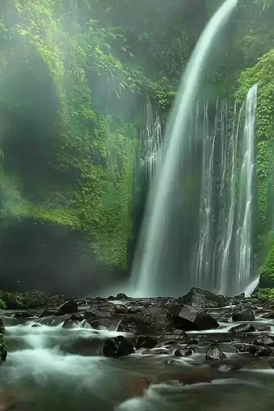 足球啦啦队员